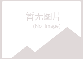 偃师白山航空航天有限公司